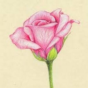 Meet your Posher, Kathleen